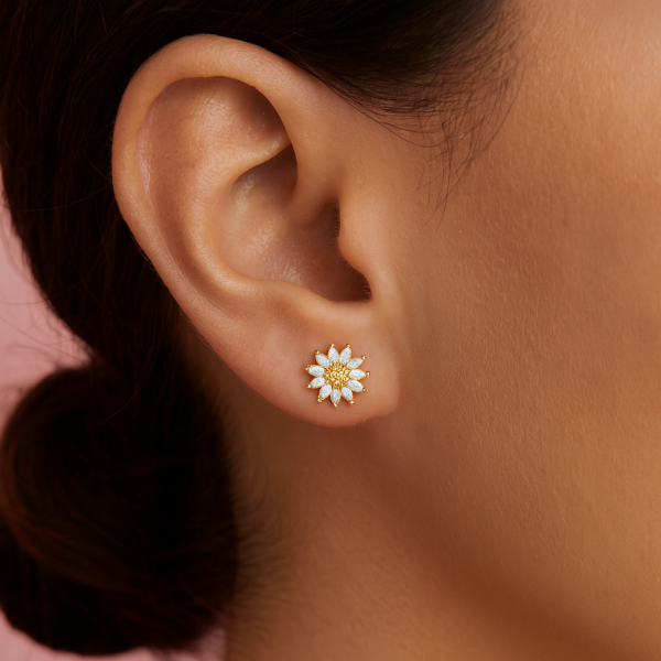 Aretes plata