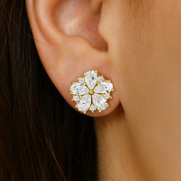 Aretes Plata